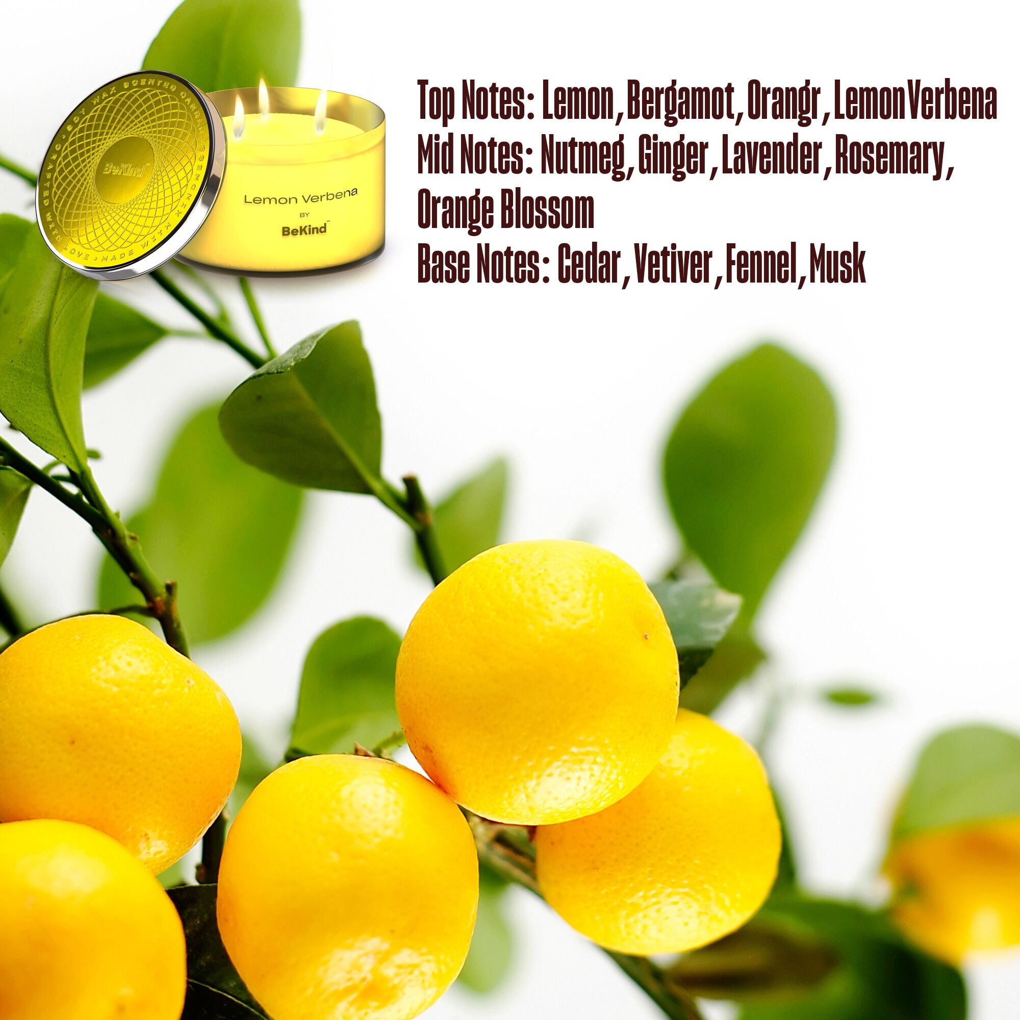 Bekind Large Jar Scented Candles - 14oz (Lemon Verbena) - Image 4